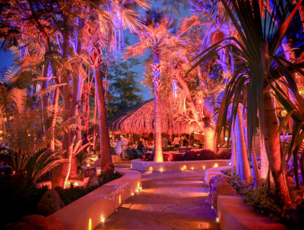 mejores-restaurantes-en-guadalajara-santo-coyote