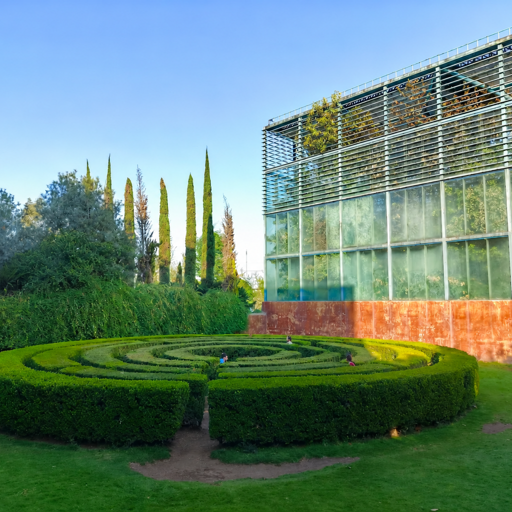 Parques En CDMX